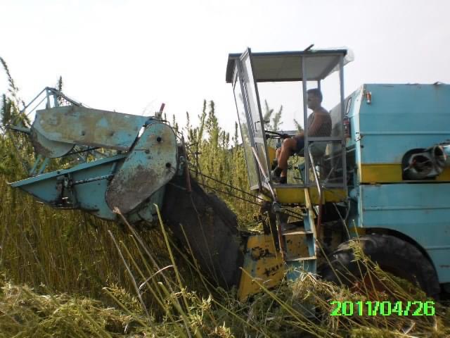 A második átalakított kender-betakarító kombájnunk